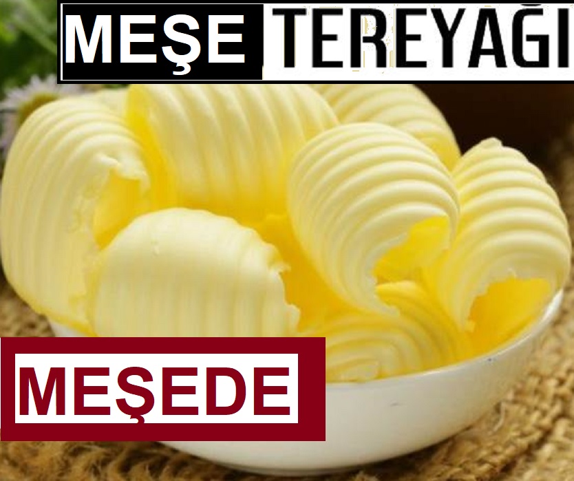 meşede